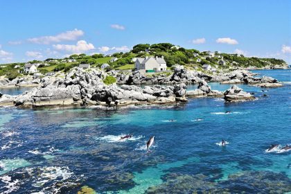 Cette île mystérieuse en Bretagne est le meilleur endroit où l'on peut voir des dauphins : île de Molène
