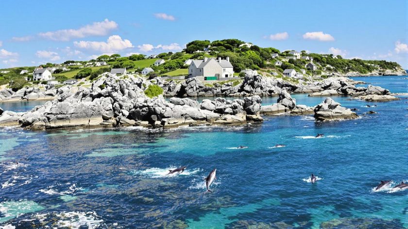 Cette île mystérieuse en Bretagne est le meilleur endroit où l'on peut voir des dauphins : île de Molène