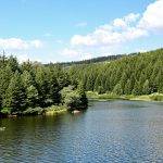 En France, ce coin de paradis des Landes est encore méconnu : Léon