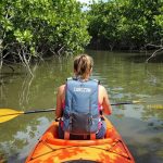 Excursions en kayak dans la mangrove des Trois-Îlets