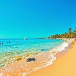 22°C en février : ce paradis européen à 4h de vol vous promet un été sans fin : Grande Canarie