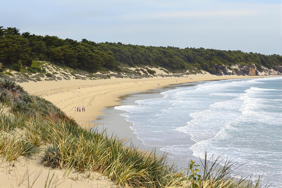A deux pas de Nantes, découvrez cette plage incroyable : un véritable paradis caché de la région