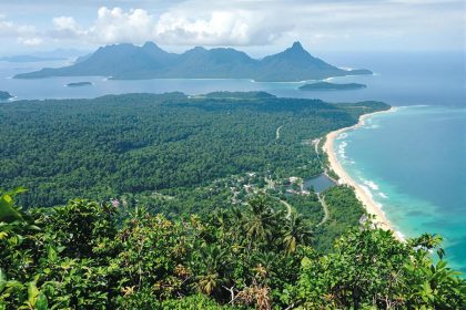 Borneo : l'île sauvage aux trésors naturels méconnus