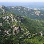 Mont Gerbier de Jonc, source de la loire et randonnée