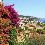 Nichée dans le Var, cette ville est incontournable pour profiter du début du printemps : Bormes-les-Mimosas