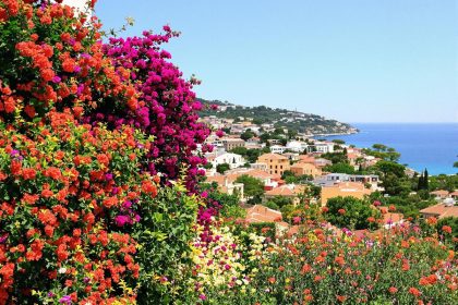 Nichée dans le Var, cette ville est incontournable pour profiter du début du printemps : Bormes-les-Mimosas