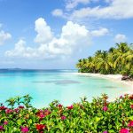 Quelle est la meilleure période pour aller aux seychelles ?