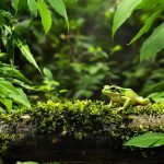 Tout savoir sur Sapo, l’expérience bien-être à ne pas manquer