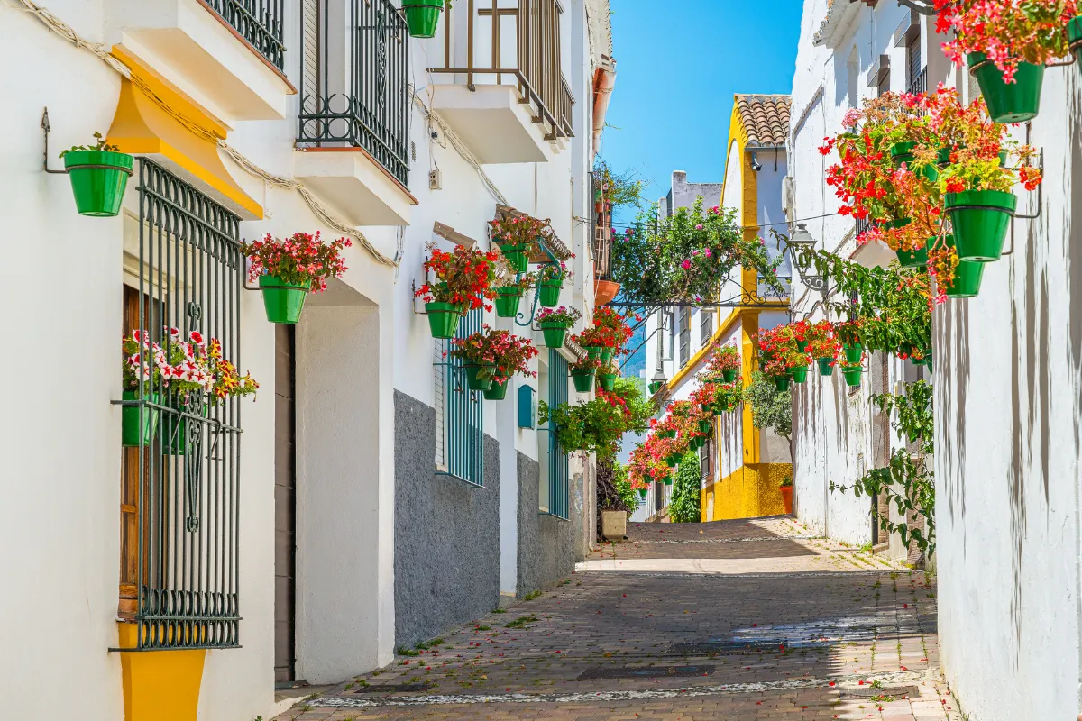 Ces 8 communes françaises ont reçu le prestigieux label « Fleur d&rsquo;Or » 2024 : voici les plus belles à explorer