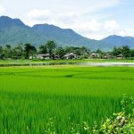 Cette destination méconnue, où 15€ suffisent par jour : Laos