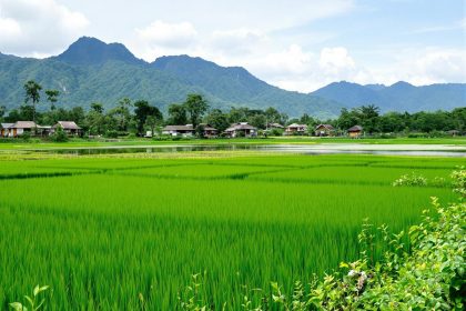 Cette destination méconnue, où 15€ suffisent par jour : Laos