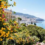 Cette ville française aux 316 jours de soleil par an cultive des citrons uniques au monde : Menton