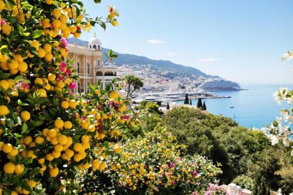 Cette ville française aux 316 jours de soleil par an cultive des citrons uniques au monde : Menton