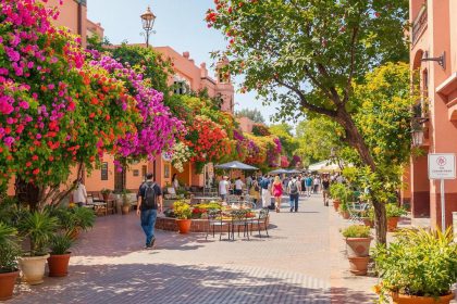 Quelle est la meilleure période pour aller à marrakech ?