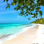 Quelle est la meilleure période pour partir à zanzibar ?