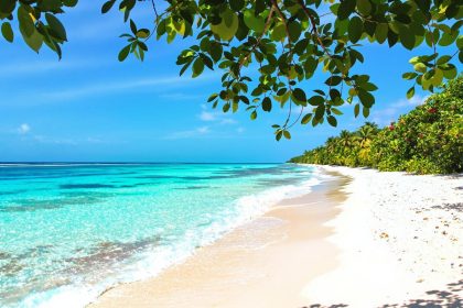 Quelle est la meilleure période pour partir à zanzibar ?