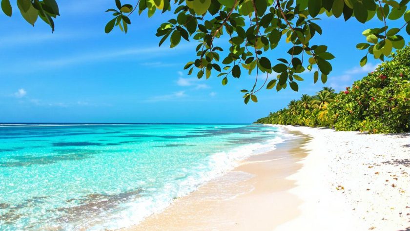 Quelle est la meilleure période pour partir à zanzibar ?