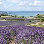 Vacances de printemps 2025 : Voici les destinations françaises qui explosent les recherches