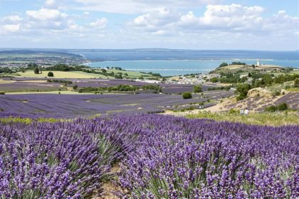 Vacances de printemps 2025 : Voici les destinations françaises qui explosent les recherches