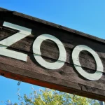 combien-de-temps-faut-il-pour-visiter-le-zoo-de-beauval