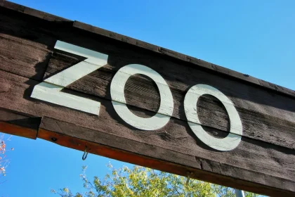combien-de-temps-faut-il-pour-visiter-le-zoo-de-beauval