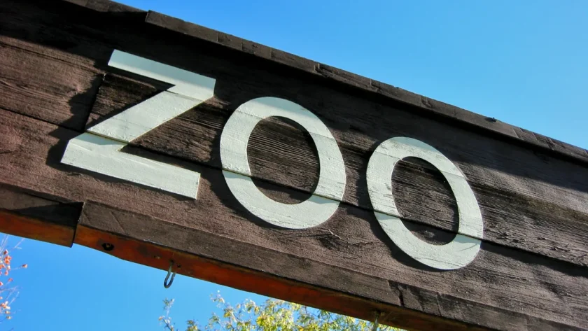 combien-de-temps-faut-il-pour-visiter-le-zoo-de-beauval