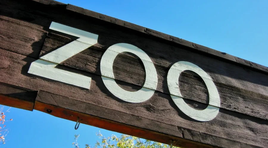 combien-de-temps-faut-il-pour-visiter-le-zoo-de-beauval