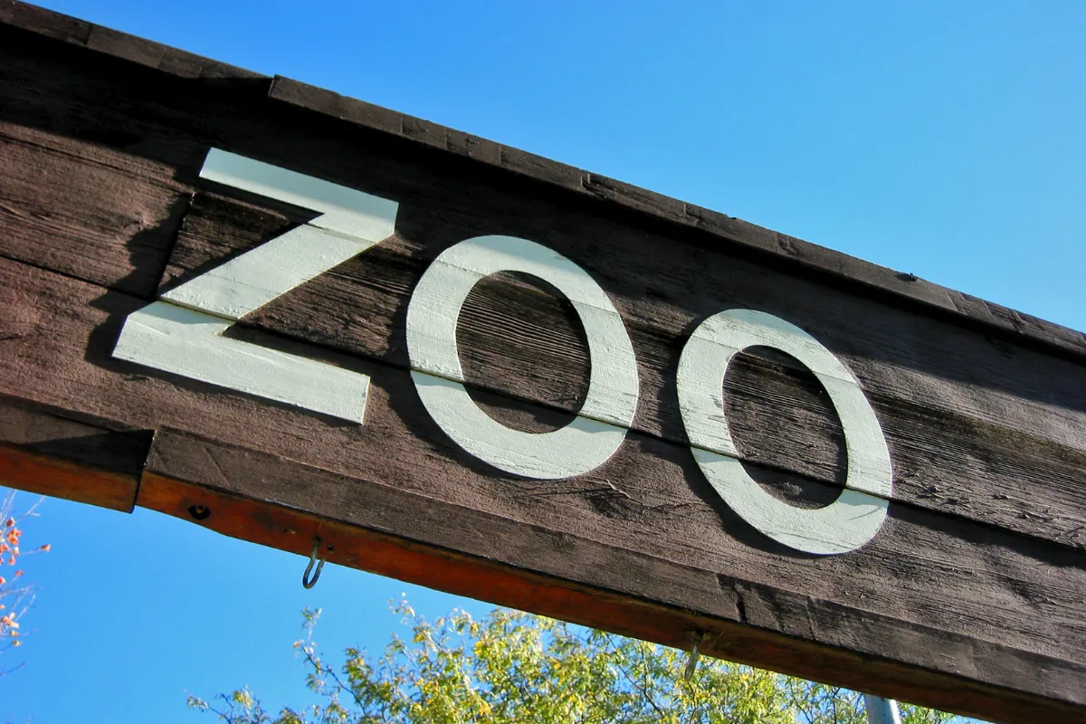 Combien de temps faut-il pour visiter le zoo de beauval ?