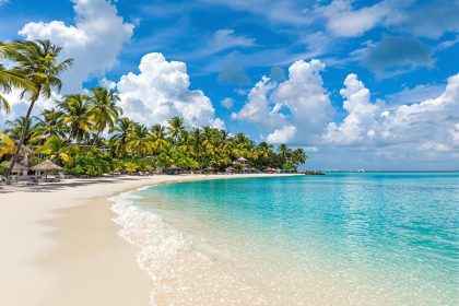 Voyage tout inclus mexique playa del carmen : guide complet