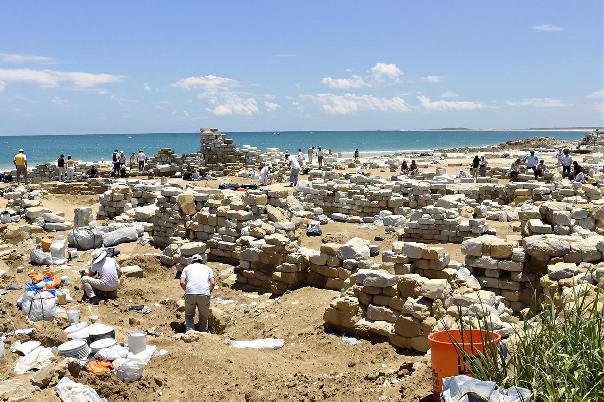 Les incroyables découvertes archéologiques de La Flotte présentées à l&rsquo;île de Ré